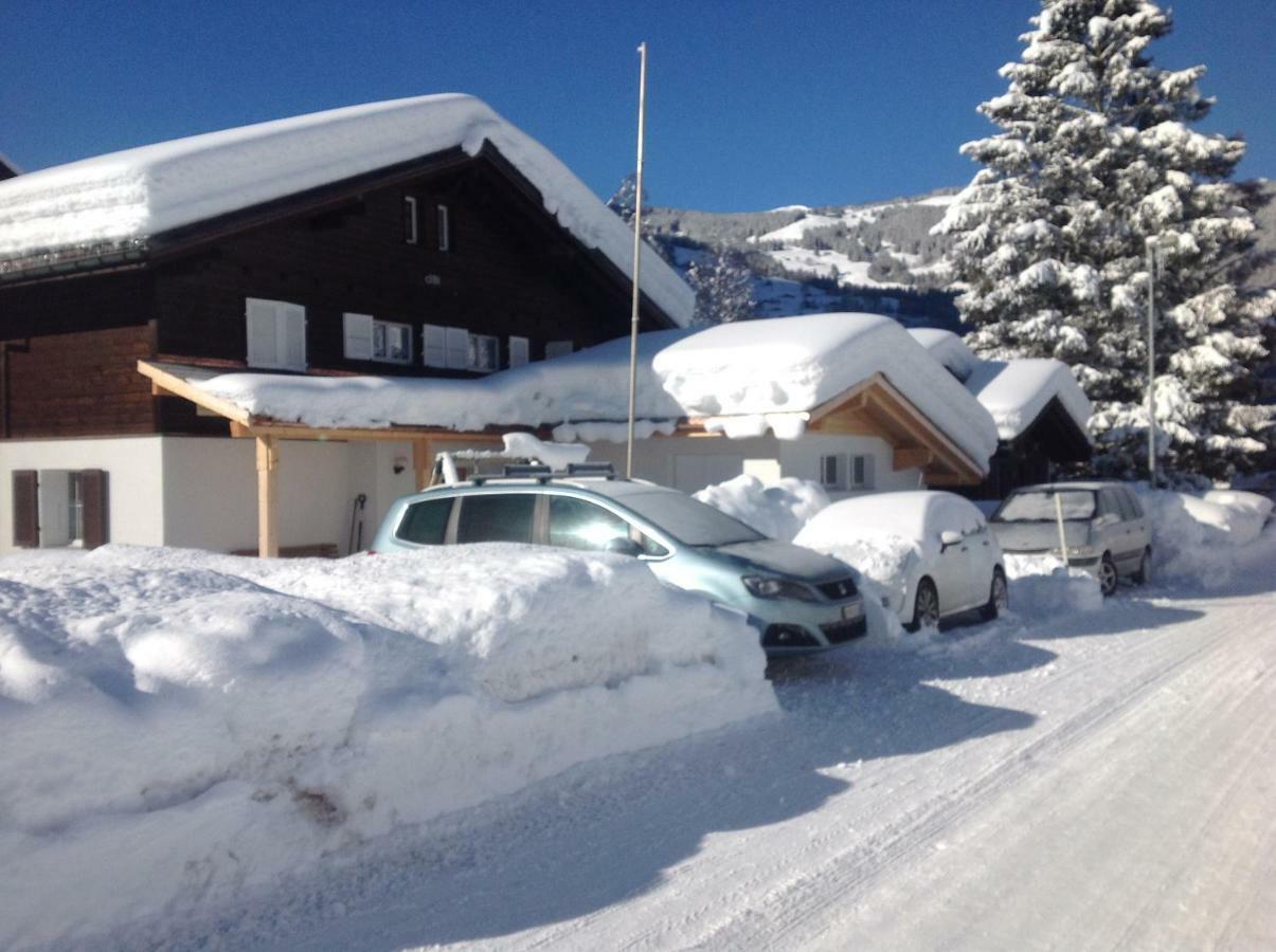 Wetterhorn, Eiger, Jungfrau, Amazing! Apartment กรินเดลวัลด์ ภายนอก รูปภาพ