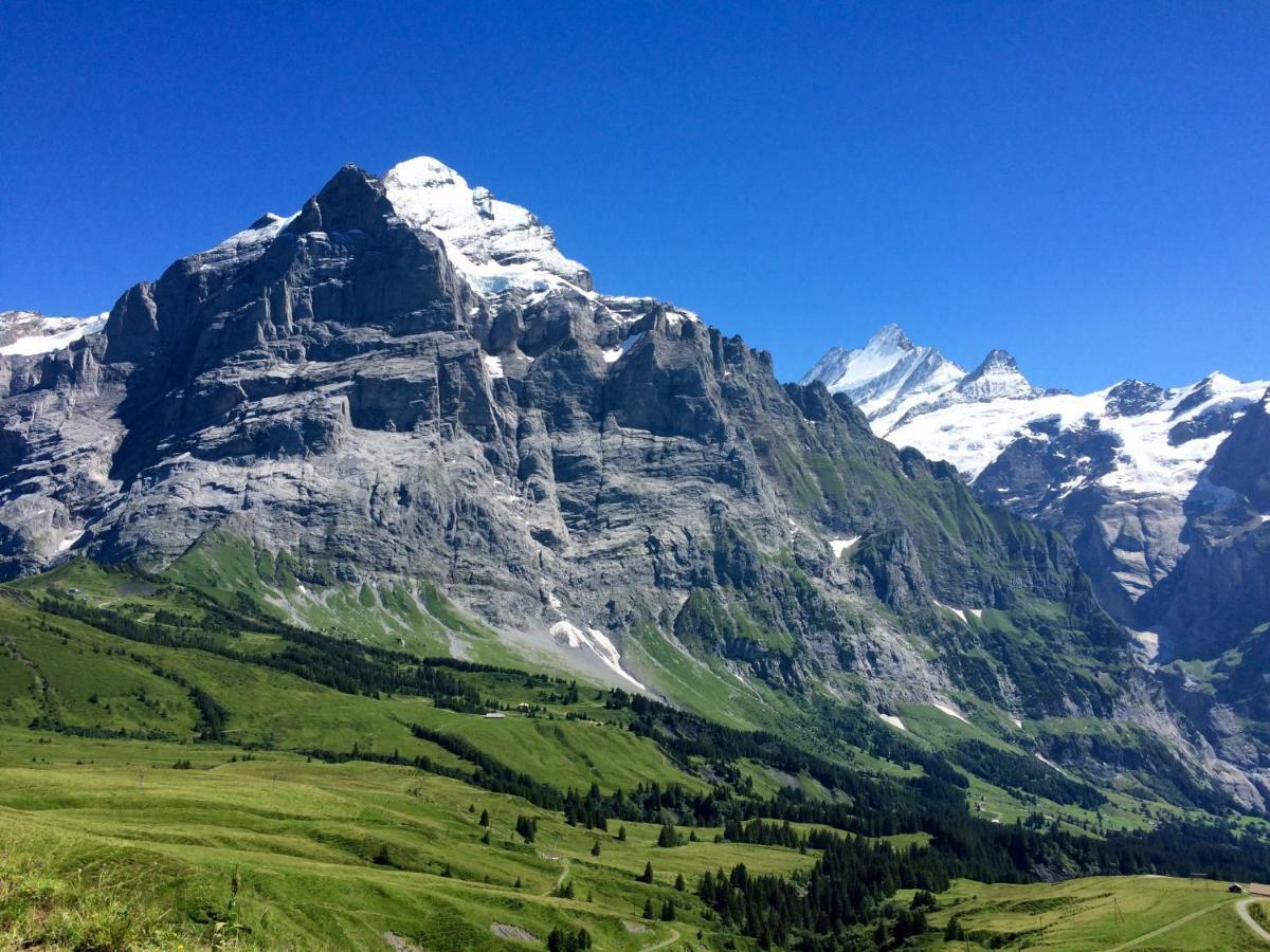 Wetterhorn, Eiger, Jungfrau, Amazing! Apartment กรินเดลวัลด์ ภายนอก รูปภาพ