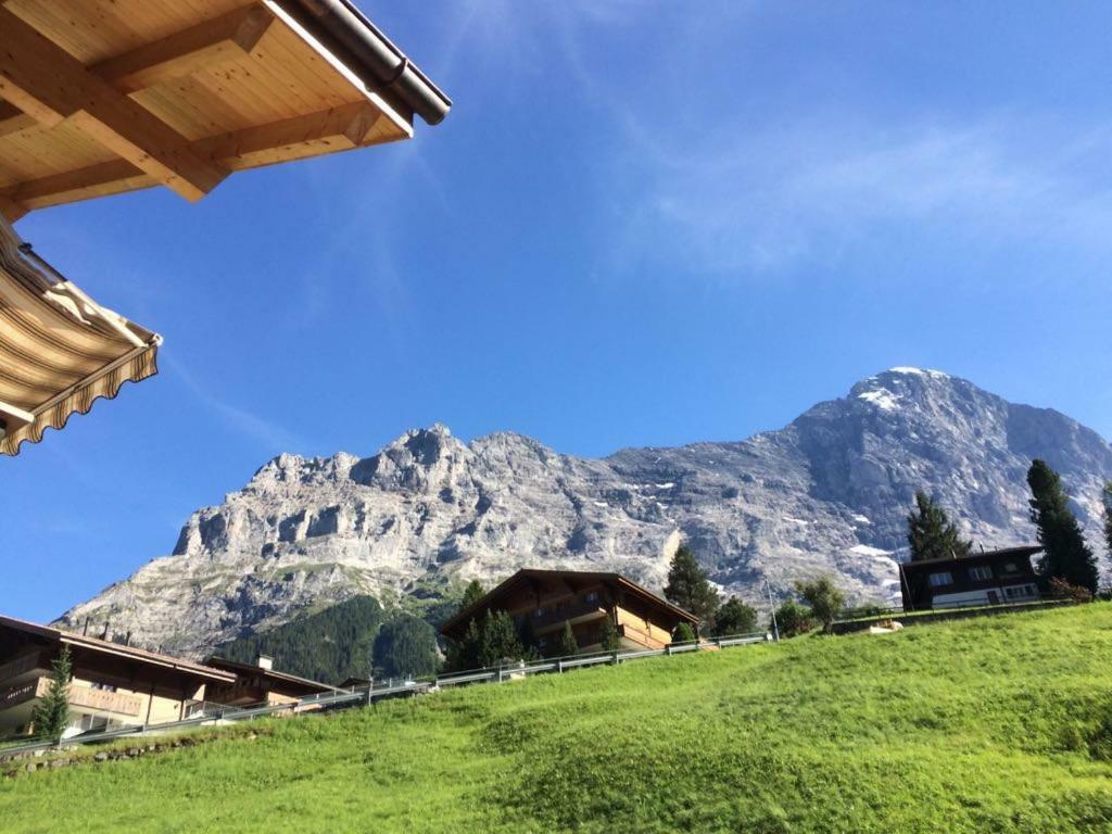 Wetterhorn, Eiger, Jungfrau, Amazing! Apartment กรินเดลวัลด์ ภายนอก รูปภาพ