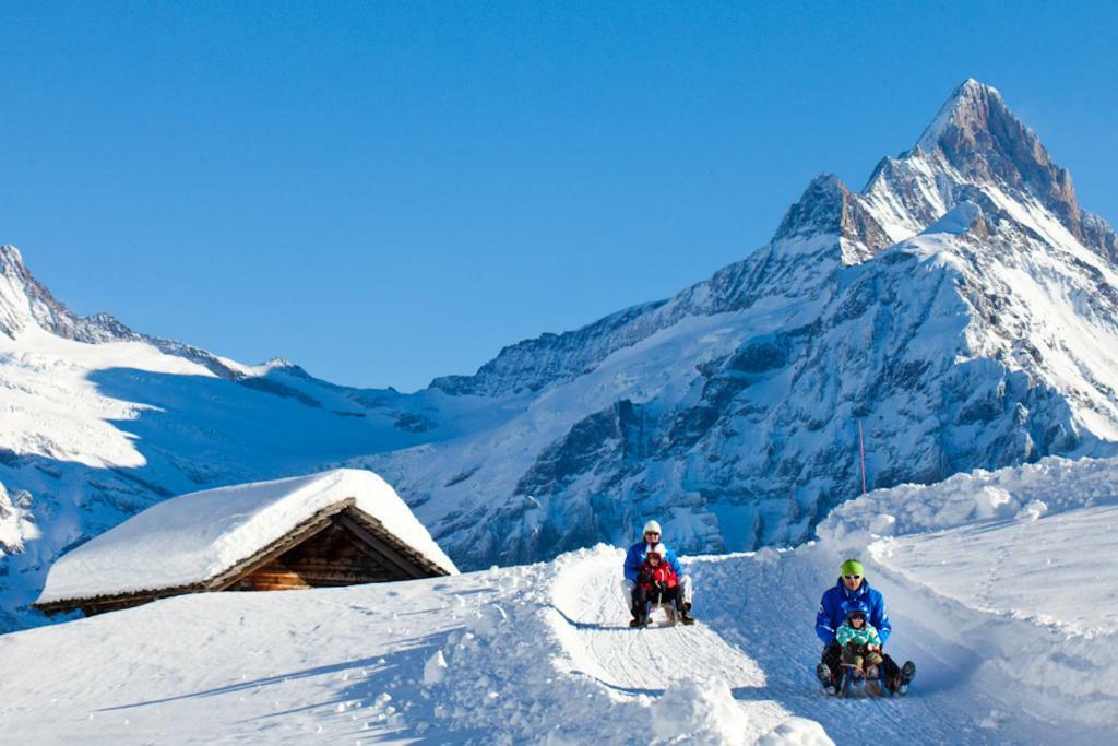 Wetterhorn, Eiger, Jungfrau, Amazing! Apartment กรินเดลวัลด์ ภายนอก รูปภาพ